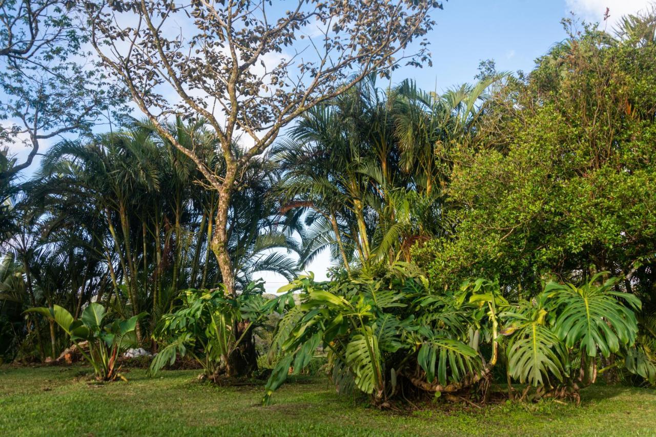 Vista Lago Arenal Piedras Eksteriør billede